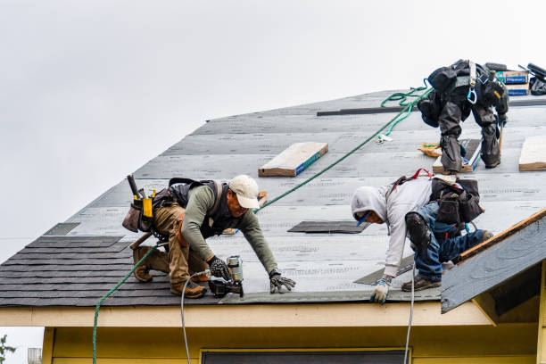 Professional Gutter Installation technician working in Bayport, MN